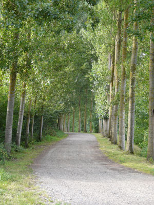 Autour de l'tang de Vendeuil